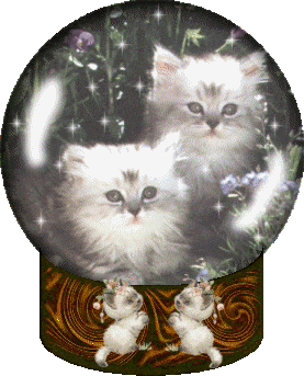 chatons
